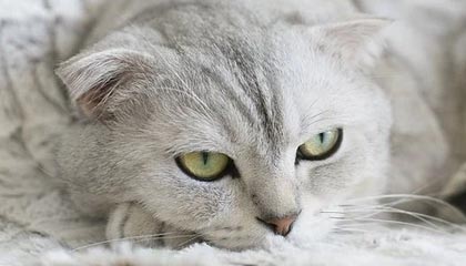 九游官网-Dota 2 新秀选手突破自我，dota2新人职业选手