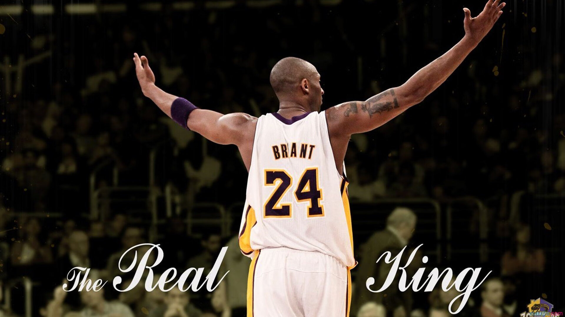 九游网-NBA推动女性裁判执法常规赛，联盟性别多元化再升级，nba女裁判员